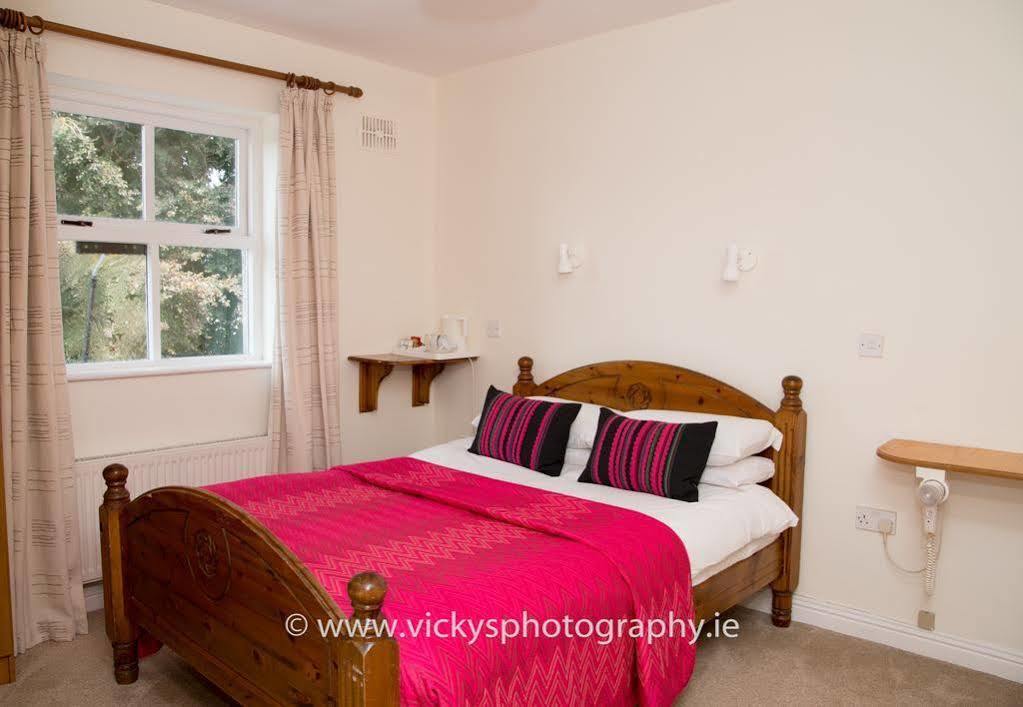 The Townhouse Bed & Breakfast Kilkenny Exterior photo