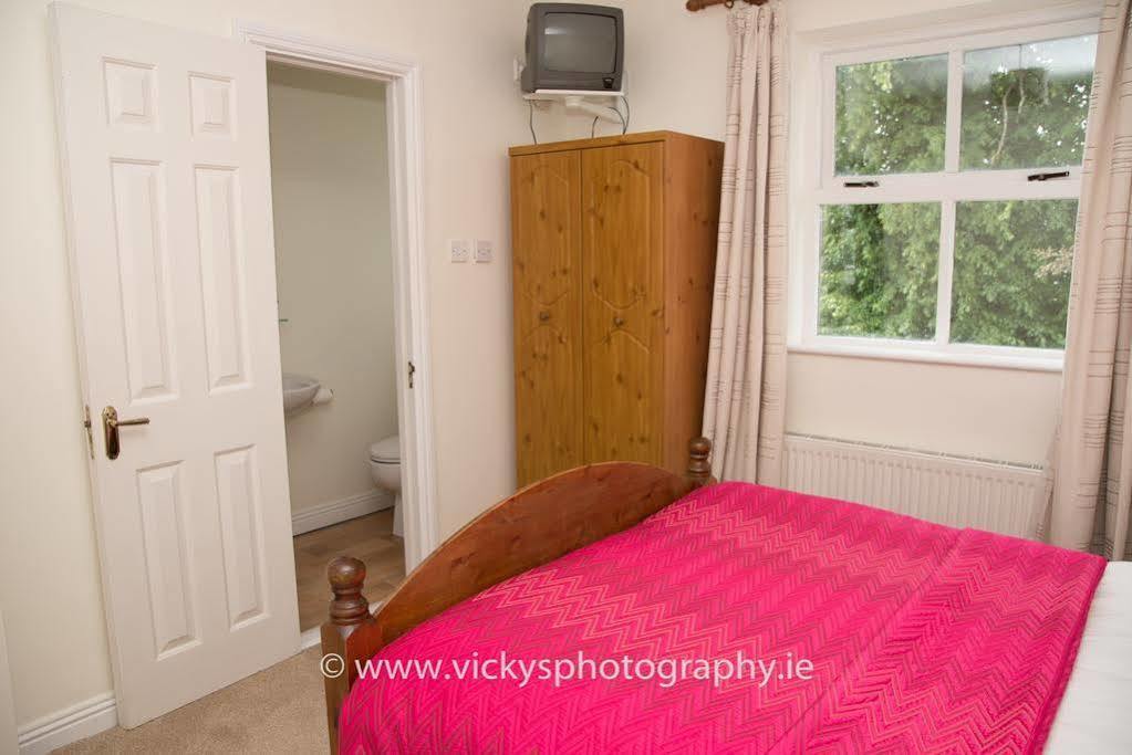 The Townhouse Bed & Breakfast Kilkenny Exterior photo
